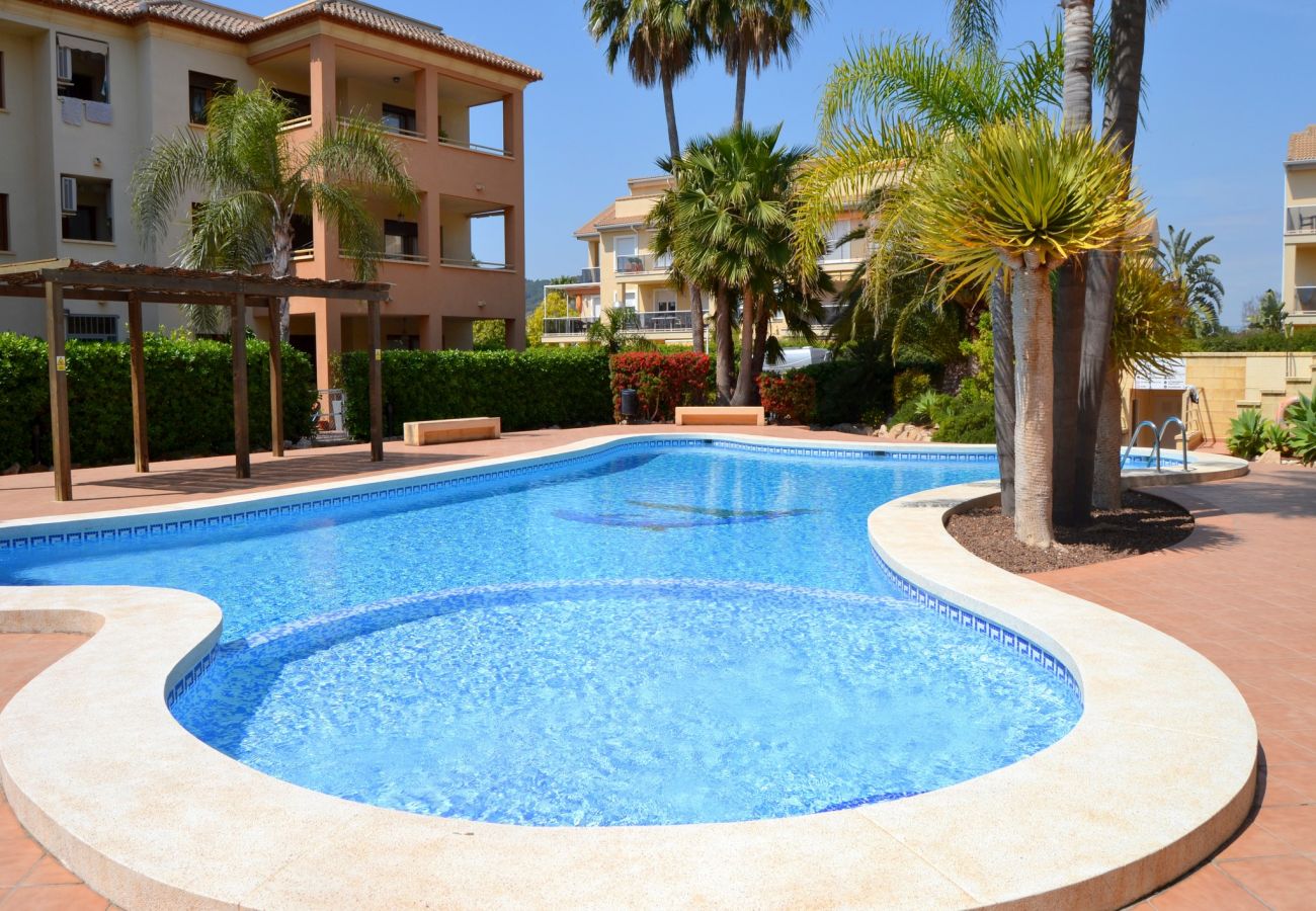 Apartamento en Javea / Xàbia - Piso en Javea planta baja 6p 2 terrazas piscina playa Arenal a 300m
