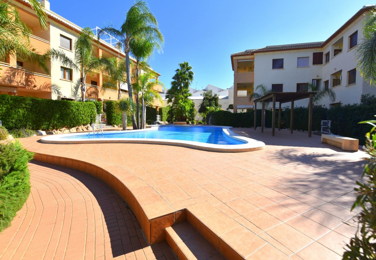 Apartamento en Javea / Xàbia - Piso en Javea 6p clima mascotas permitidas piscina playa a 600m