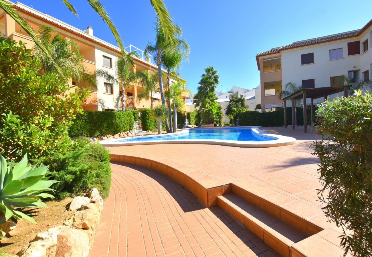 Apartamento en Javea / Xàbia - Piso en Javea 6p clima mascotas permitidas piscina playa a 300m