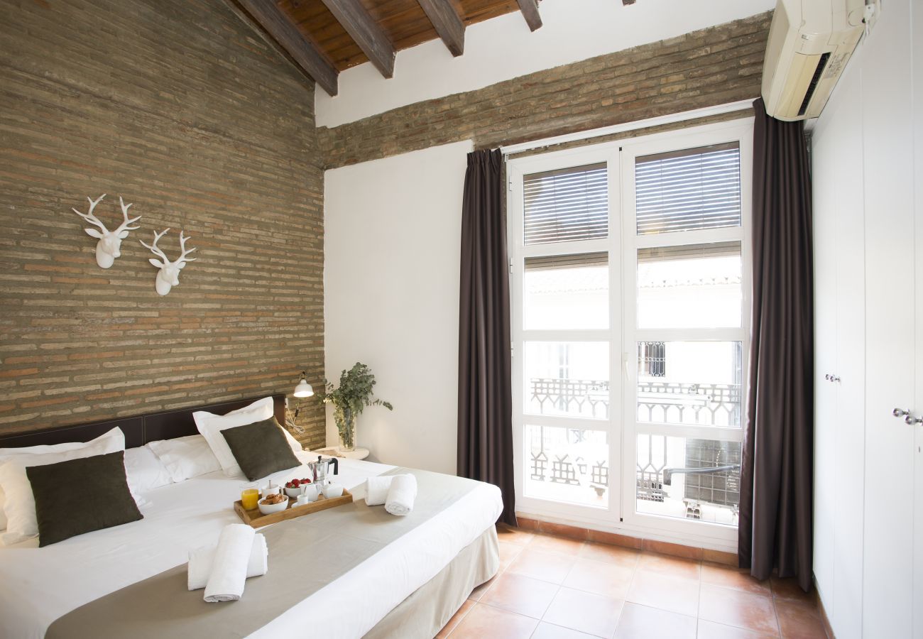 Apartamento en Valencia - Botanico 301