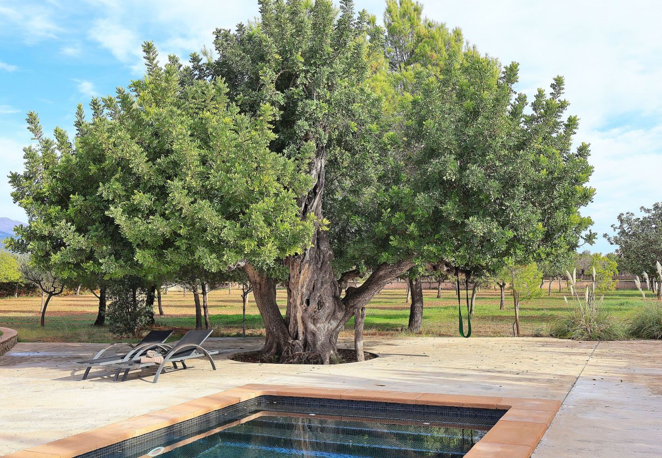 Finca en Binissalem - Es Triquet 151 acogedora villa con piscina privada, terraza, barbacoa y WiFi