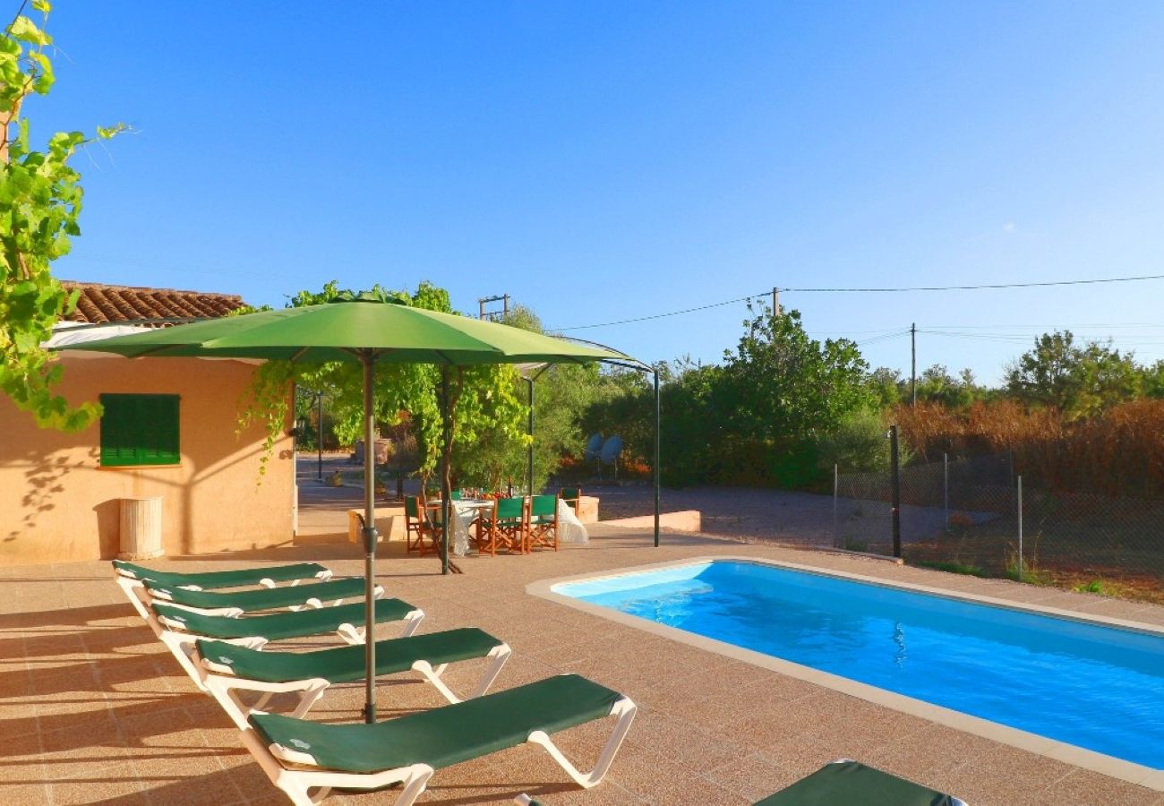 Finca en Algaida - Sa Torreta villa con piscina solarium y una gran terraza 401