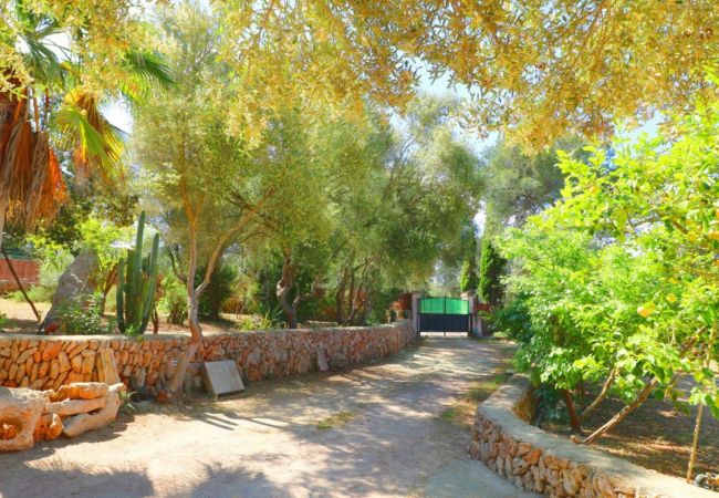 Finca en Campos - Sa Costa 411 finca rústica con piscina privada, terraza, jardín y aire acondicionado