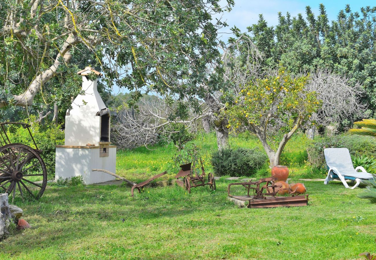 Finca en Santa Margalida - Finca con olivos y almendros Sa Torreta 023