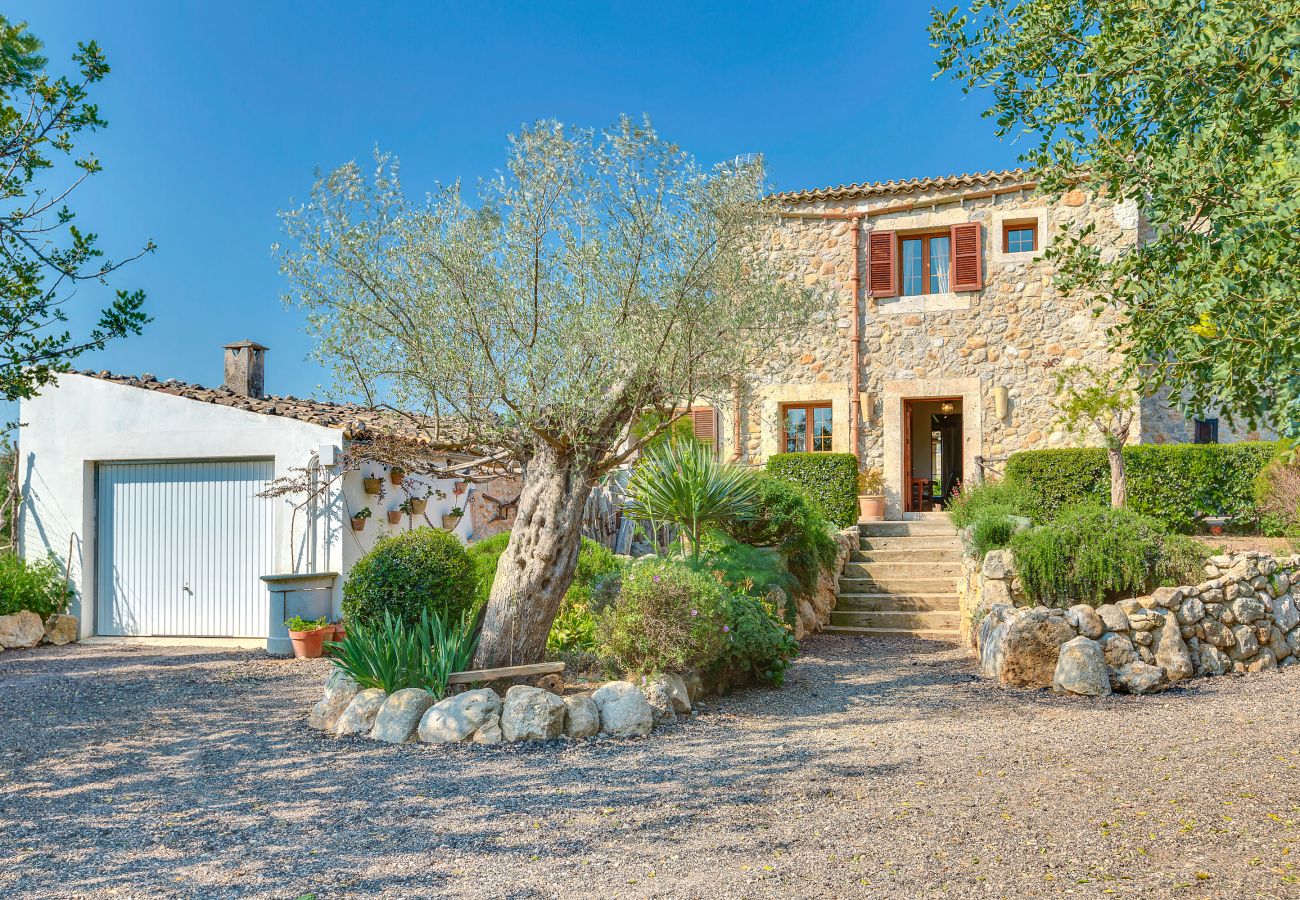 holiday rental villa in Selva Mallorca