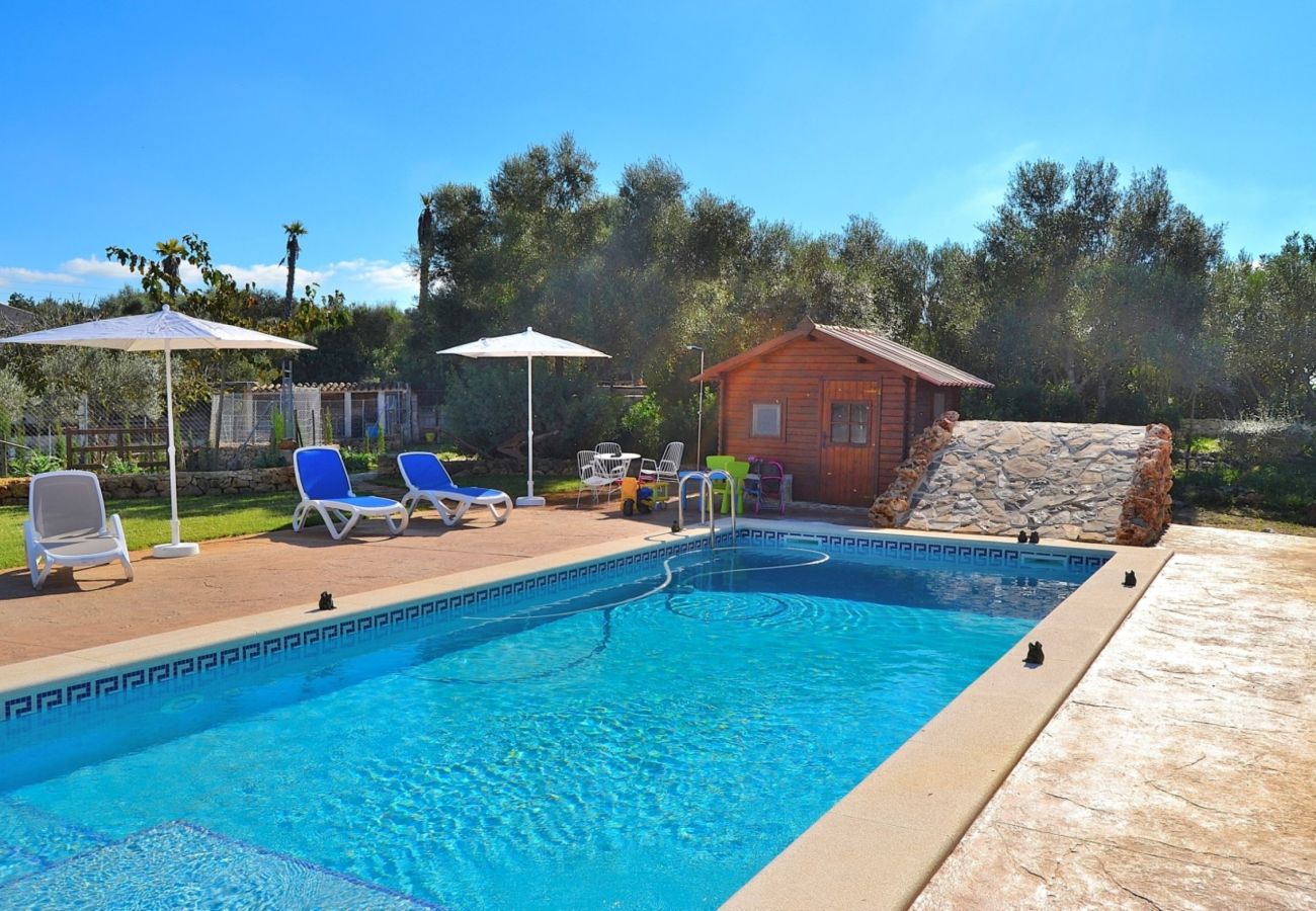 Mallorca Finca pool rent