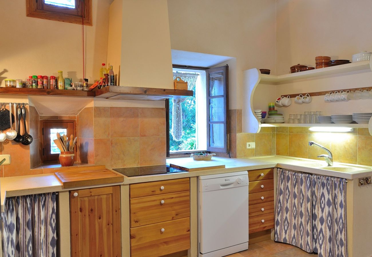 The kitchen of the villa has room for 8 people
