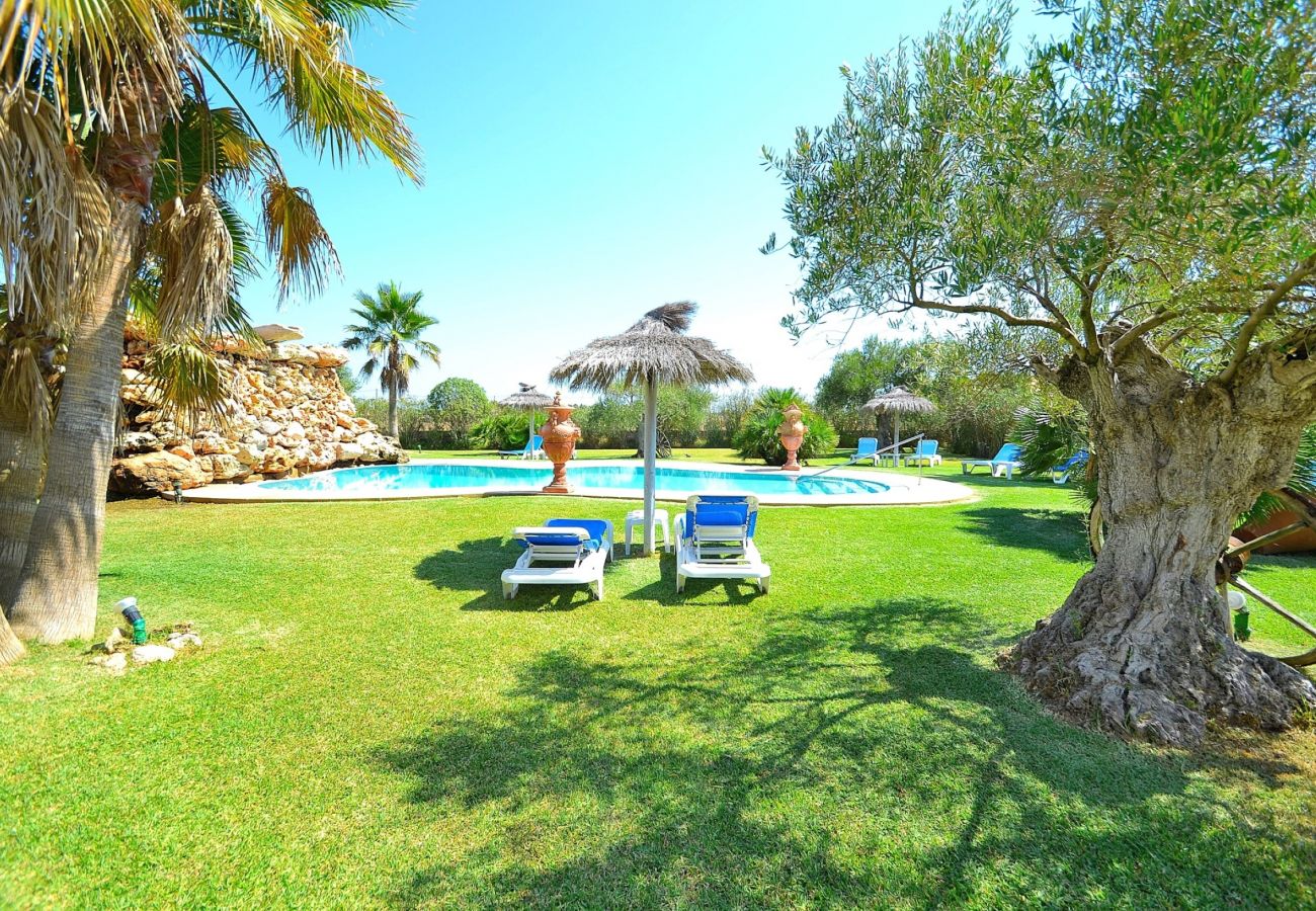 The luxurious Finca is located in Can Picafort-Mallorca and it has a swimming pool