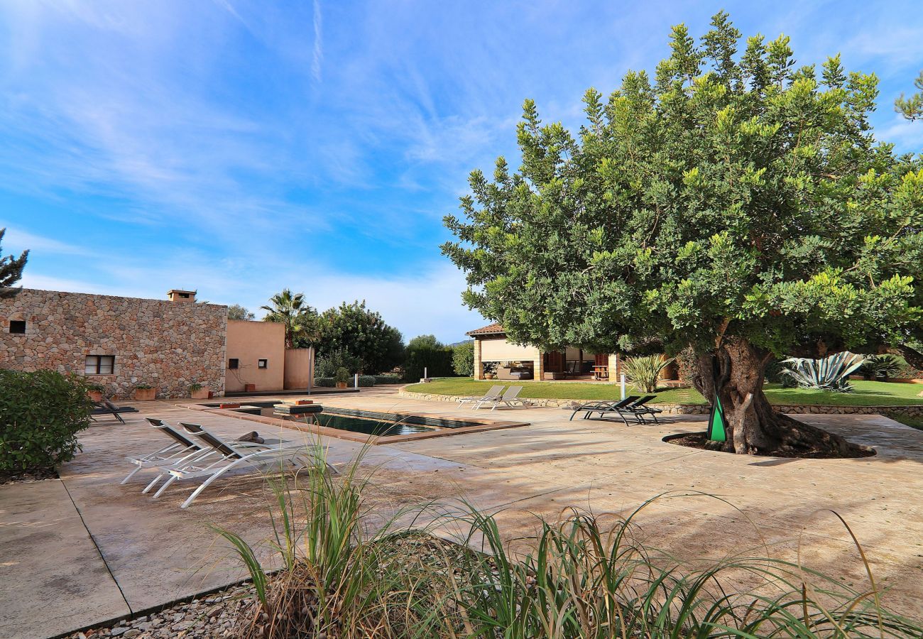 Country house in Binissalem - Es Triquet 151 cosy villa with private pool, terrace, BBQ and WiFi