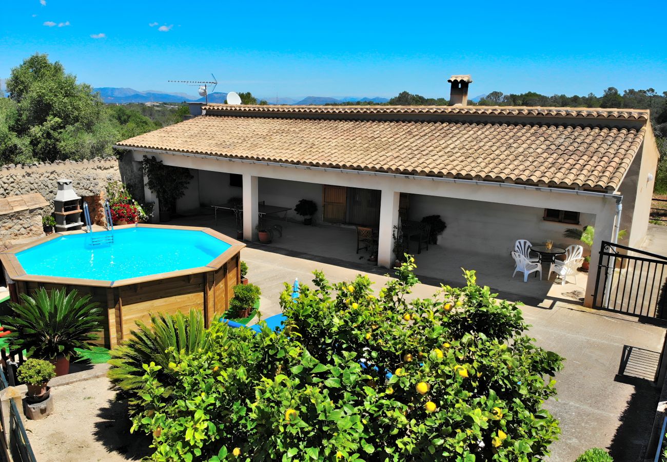 Swimming pool, garden, open space, sun, Majorca