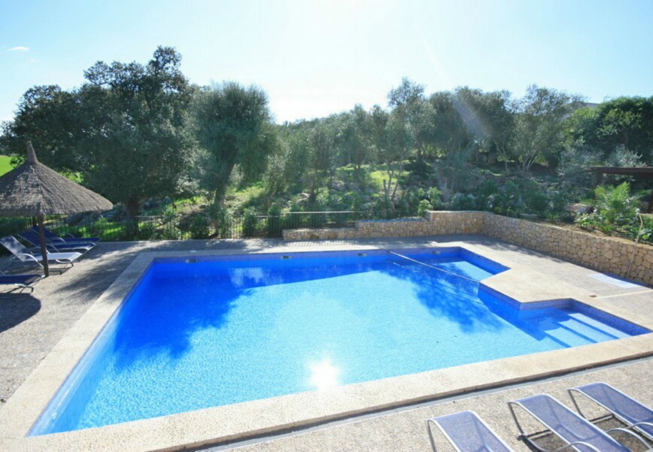 Country house in Petra - Sa Pleta stunning villa with swimming pool with amazing views 027