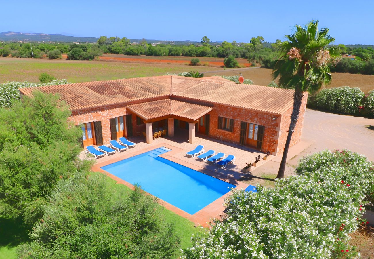 Large finca with pool and garden
