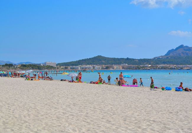 Apartment in Alcudia - Fantastic 174 magnificent flat on the beach, with balcony, air conditioning and WiFi