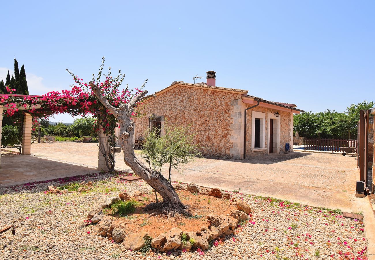 Villa in Muro - Biniaco 239 magnificent villa with private pool, large outdoor area, barbecue and air conditioning