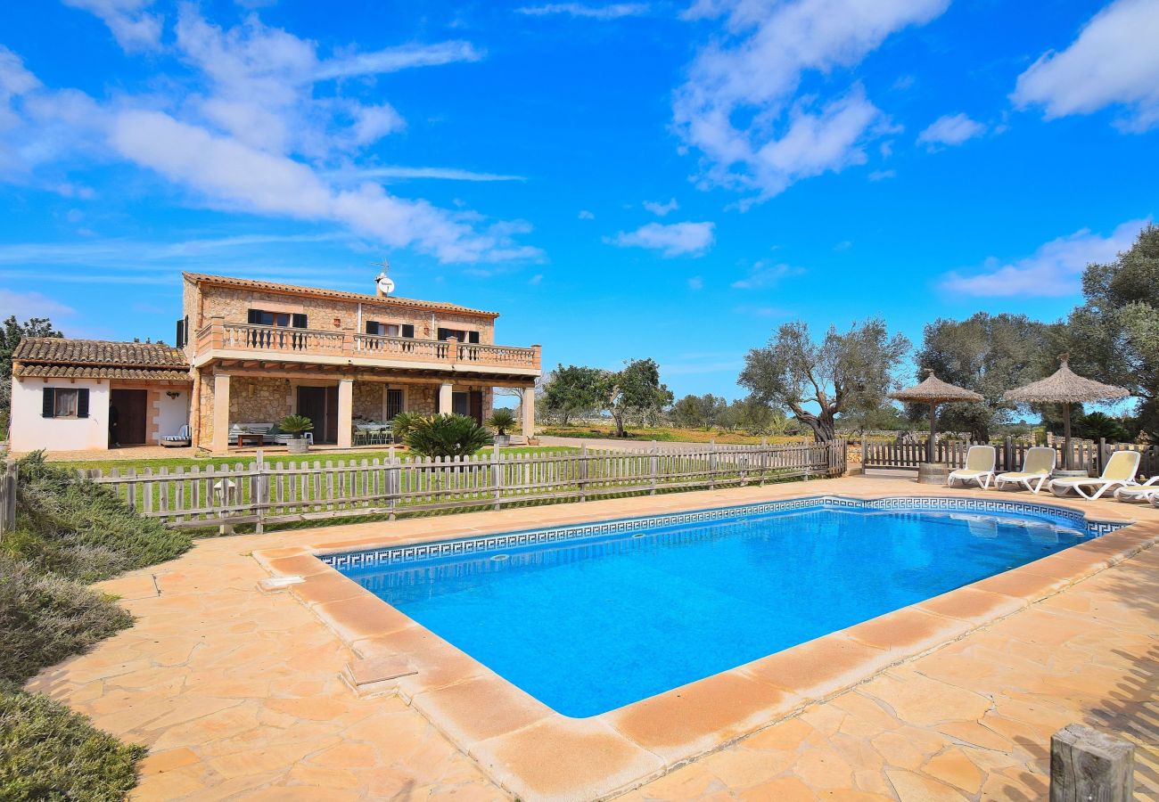 swimming pool, villa, holidays, nature, peace and quiet, rental 