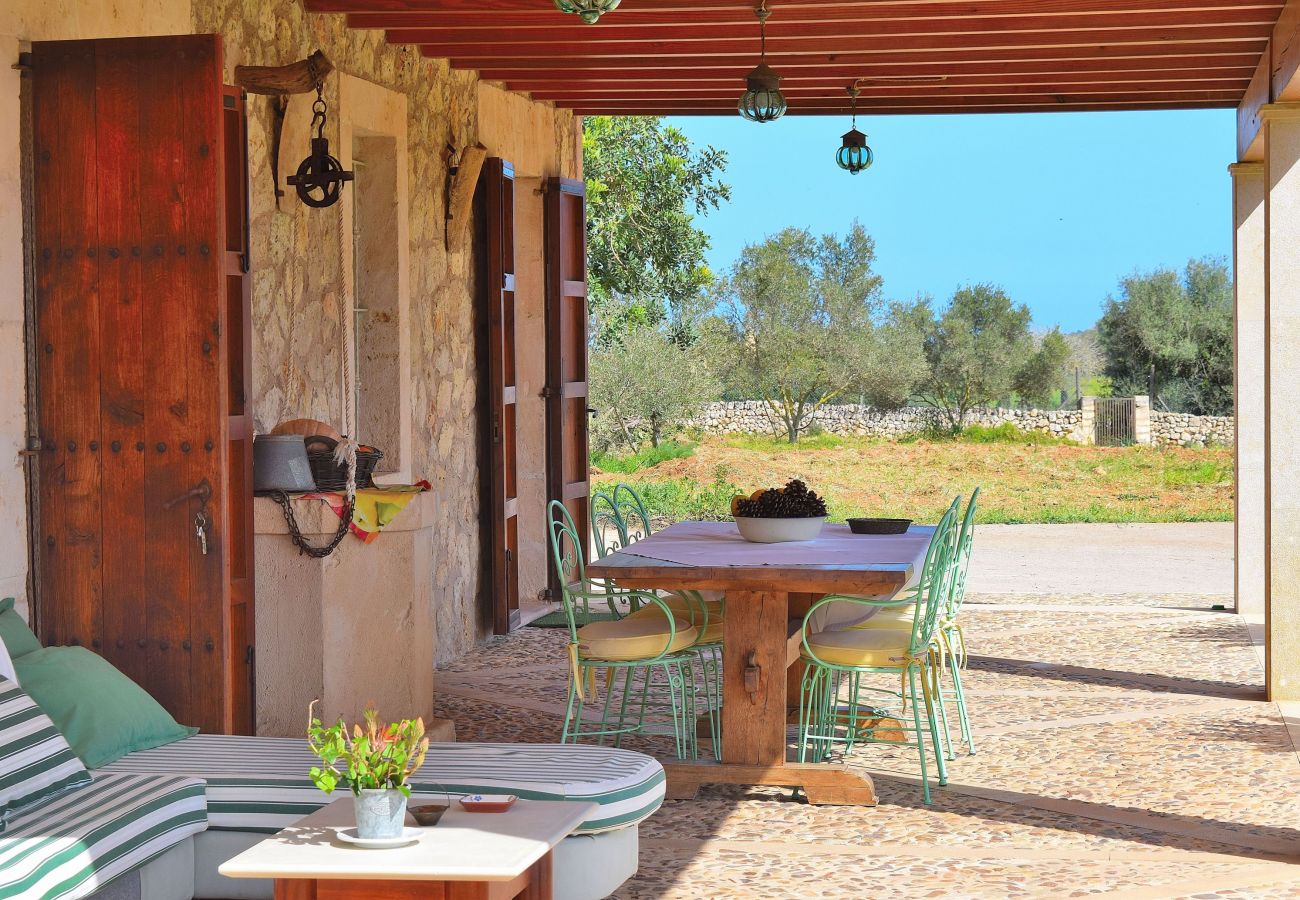 Country house in Santa Margalida - Villa with olive and almond trees Sa Torreta 023