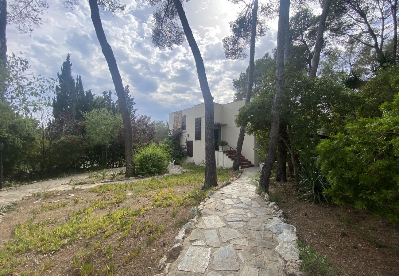 Villa in El Catllar - TH130 Villa Green Fee close to the Golf Costa Dorada
