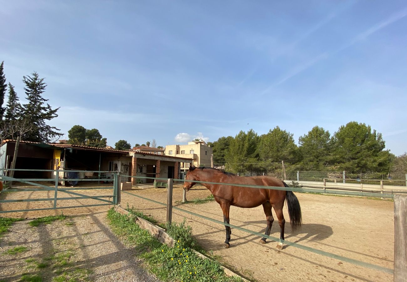 Villa/Dettached house in El Catllar - V4 Big house with land and stables