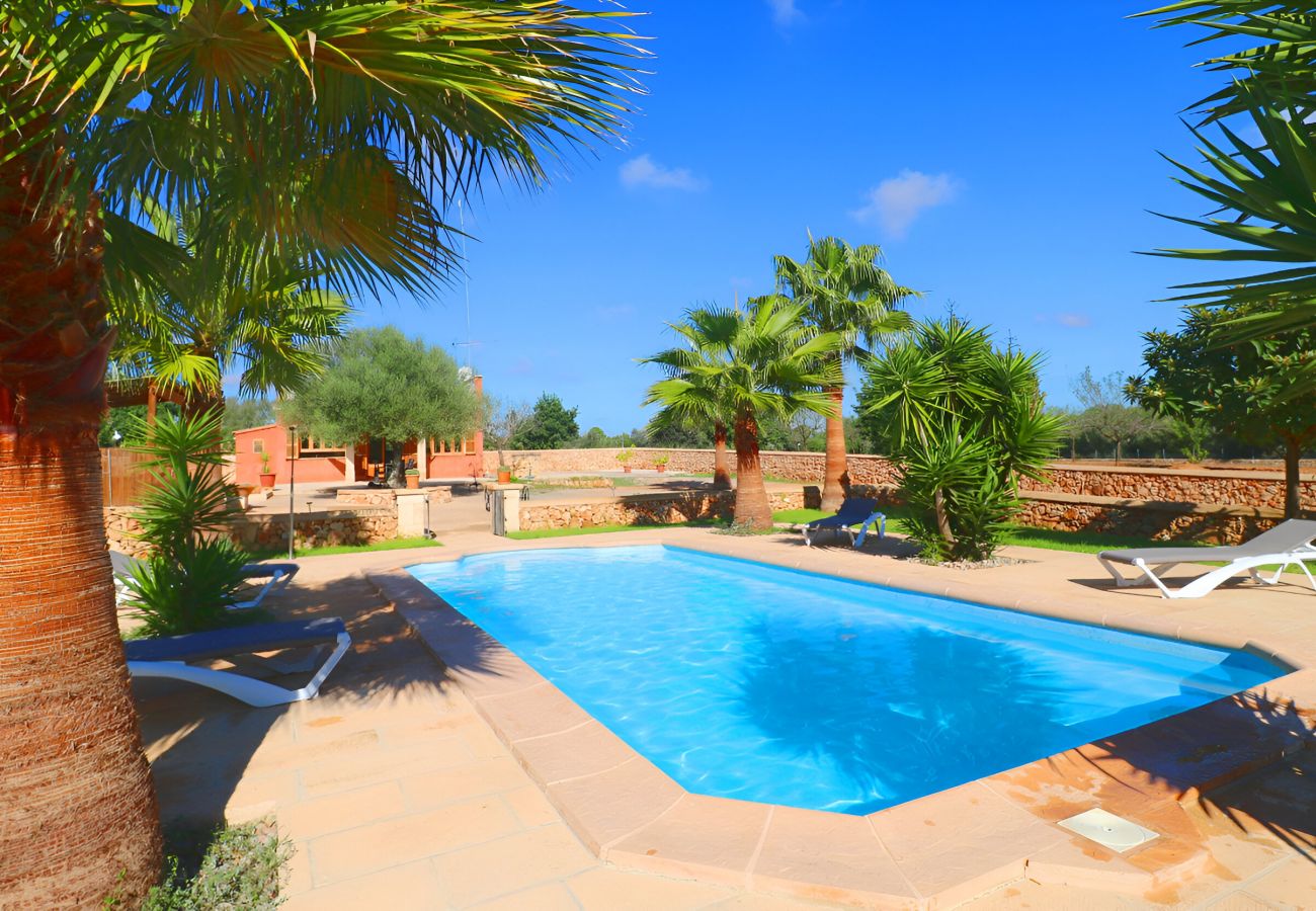 Finca with large pool and garden, nature, Majorca.