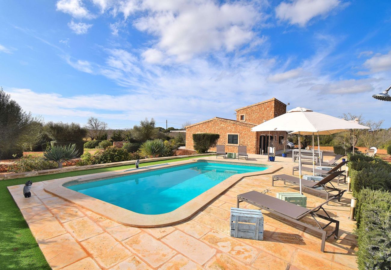 photo of holiday home with swimming pool 