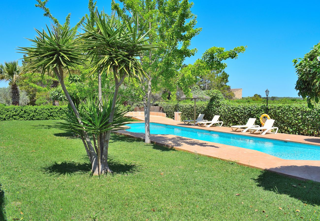Country house in Ariany - Villa with Pool and Garden (FIBRE OPTIC INTERNET) Ariany 219