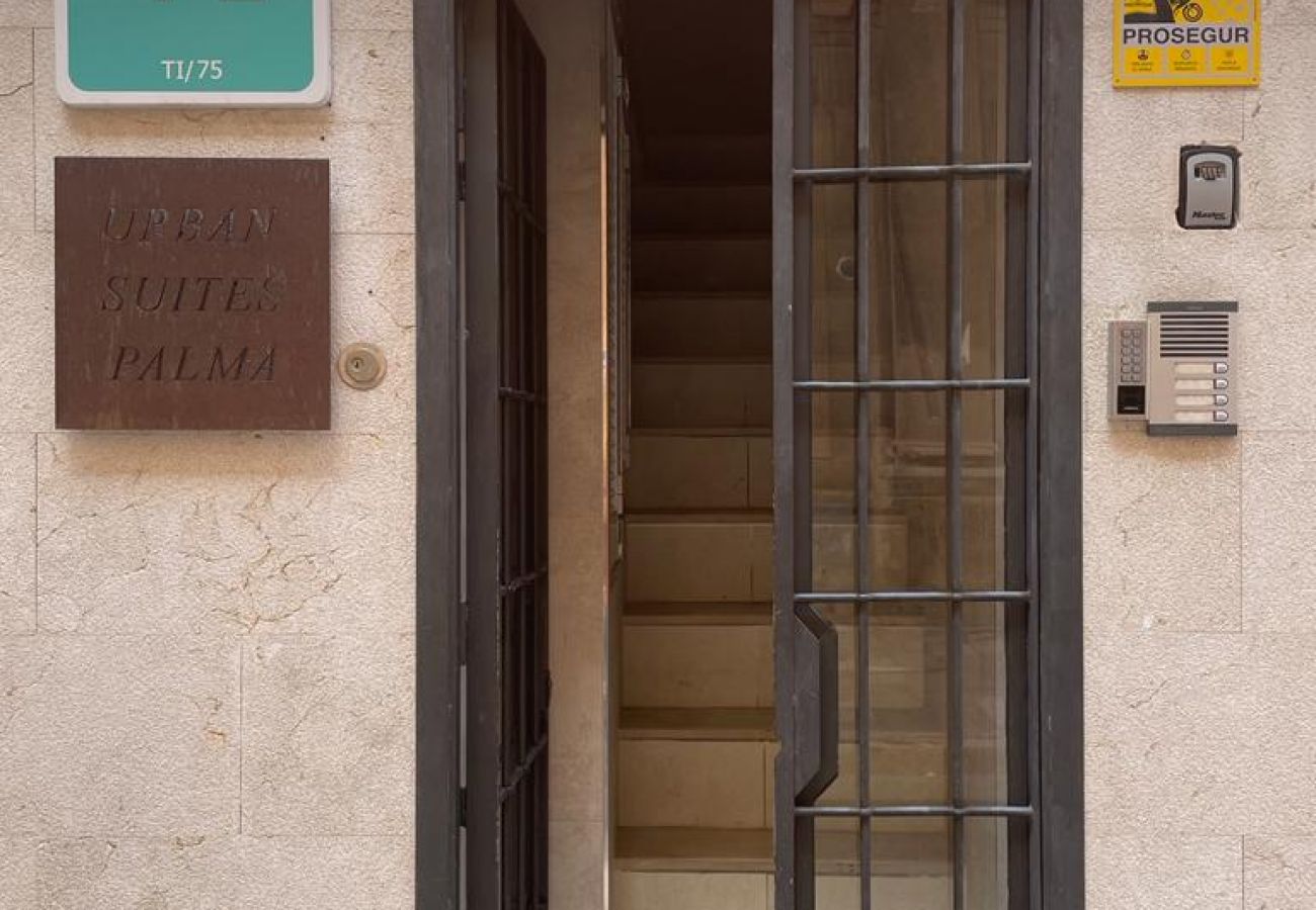 Appartement à Majorque/Mallorca - URBAN SUITES 4 PENTHOUSE PALMA APARTMENT