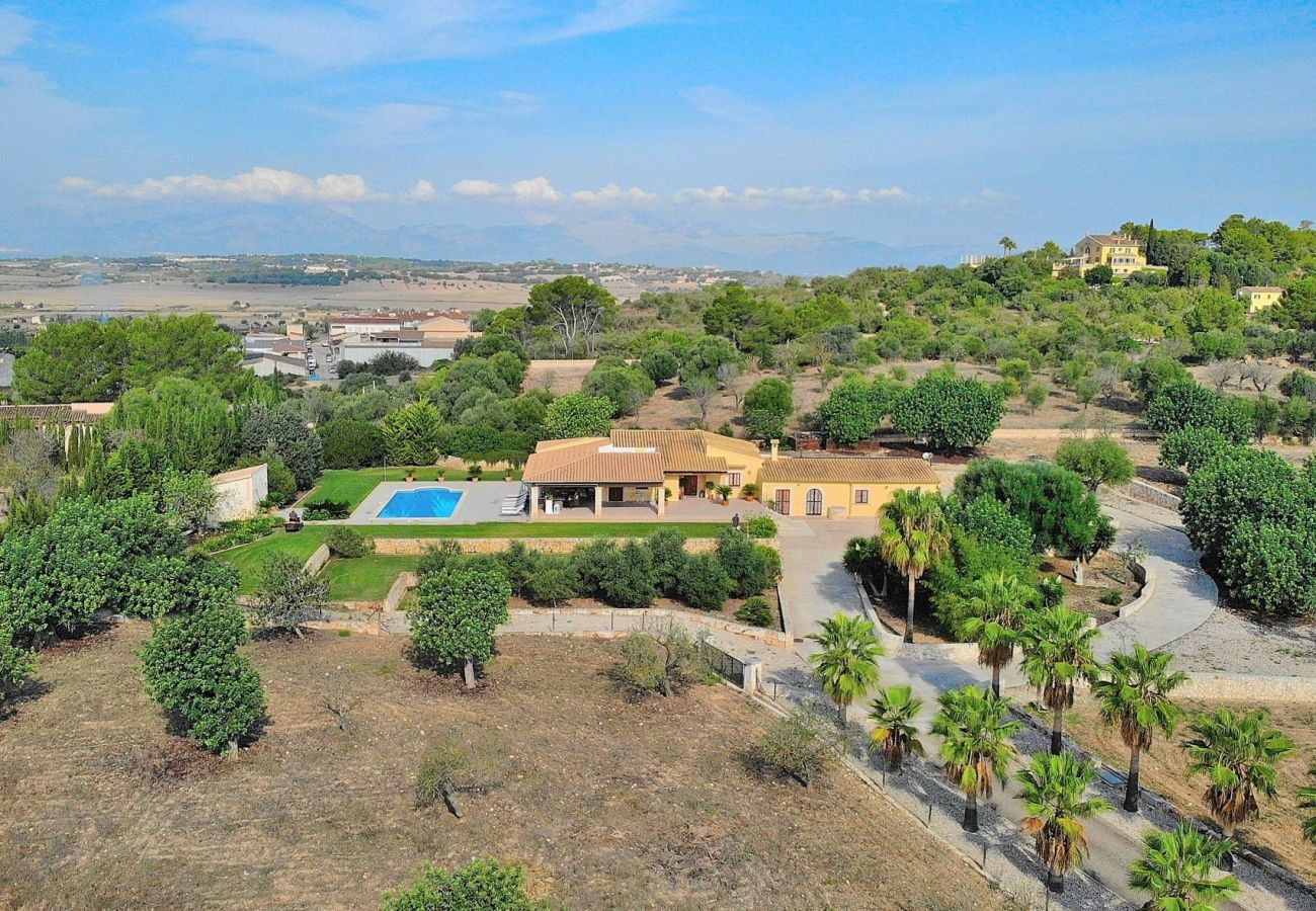 Domaine à Santa Margalida - Es Coscois - Villa luxueuse dans un environnement privilégié 031 
