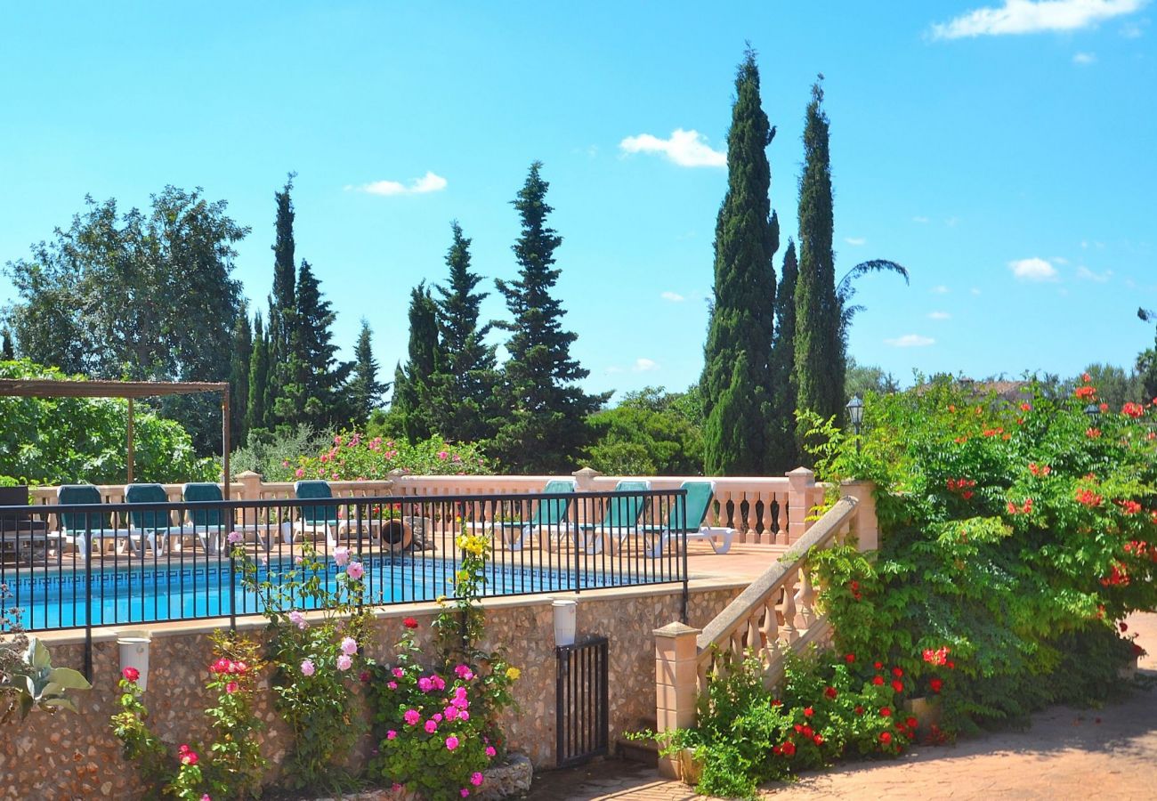 Domaine à Muro - Son Morey - Villa avec piscine avec vue 037 