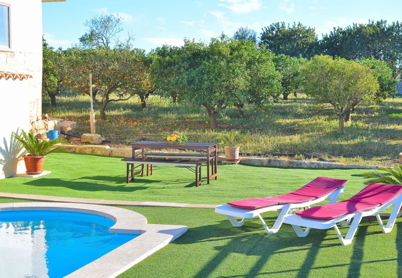 Domaine à Muro - Els tarongers Villa majorquine avec piscine et tout le confort 081