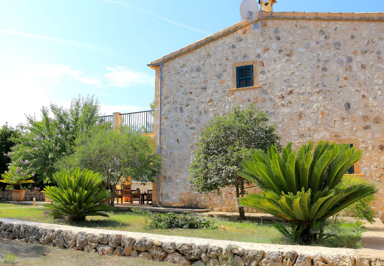Maison rurale, espace, jardin, belle, Mallorca