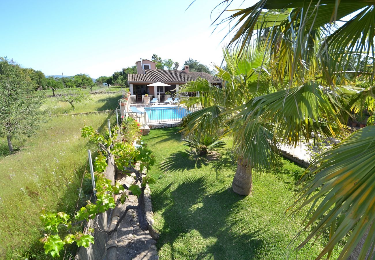 Domaine à Inca - Tramuntana 171 villa fantastique avec piscine privée, terrasse, climatisation et WiFi