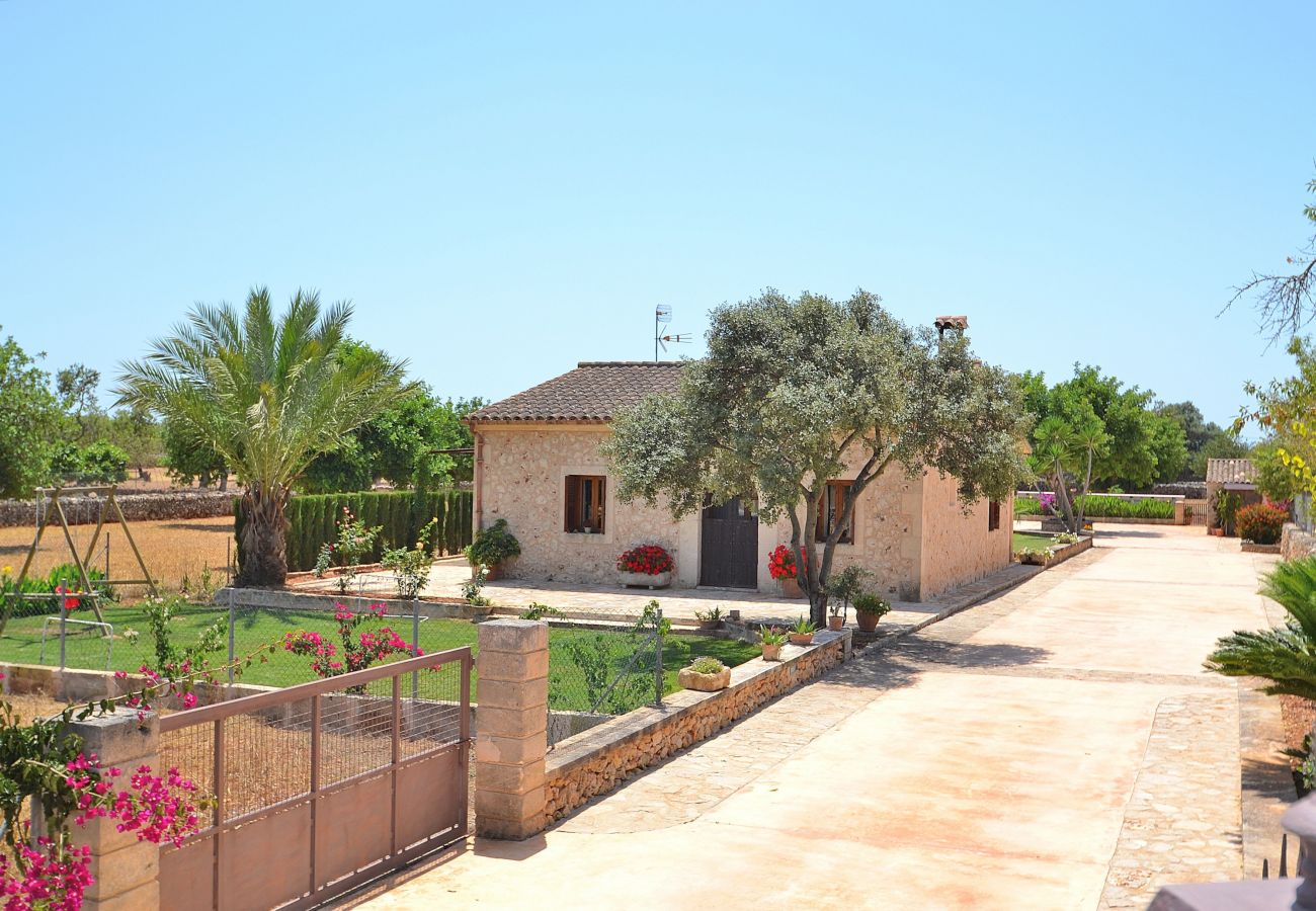 Domaine à Santa Margalida - S'Estret 184 magnifique finca avec piscine privée, terrasse, jardin agréable et tennis de table