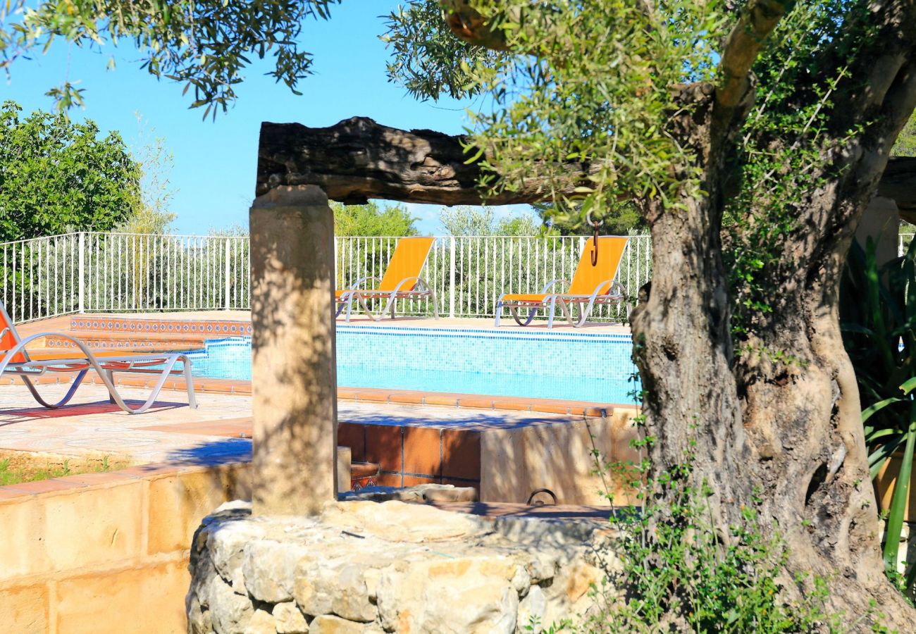 Domaine à Lloseta - Ses Oliveres : une villa impressionnante pour les familles ou les groupes d'amis 016
