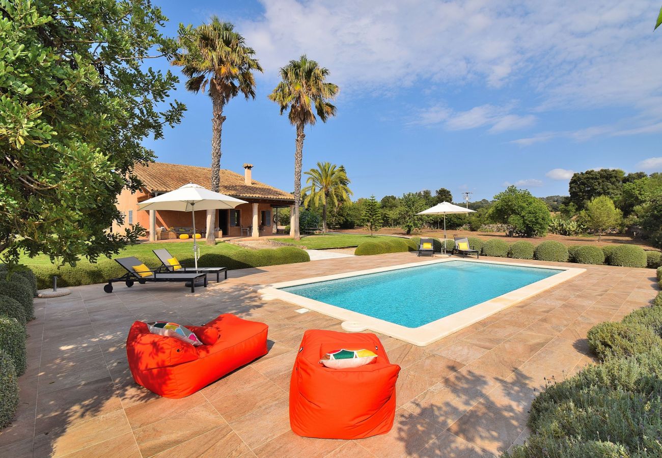 Maison de vacances, jardin, piscine, chaises longues, vacances, Majorque, Majorque