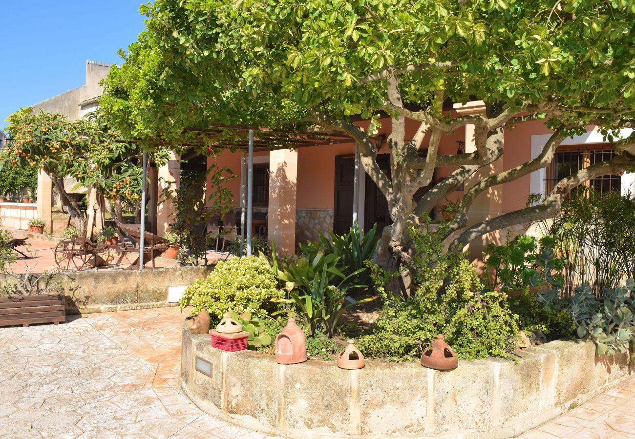 Domaine à Santa Margalida - Maison de village avec jardin 053 Santa Margalida