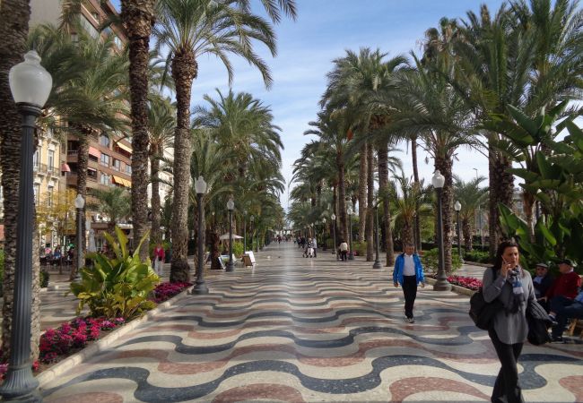 Appartement à Alicante / Alacant - Airy Flat City Center