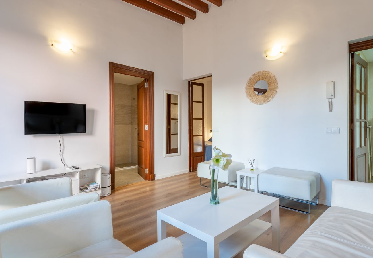 Appartement à Majorque/Mallorca - Holiday Palma Apartment 3