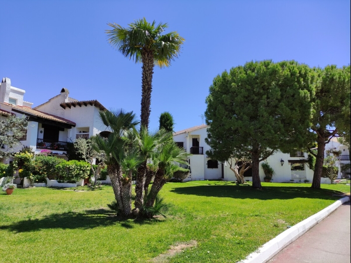 image R149 Casa Palmera Alorda 39