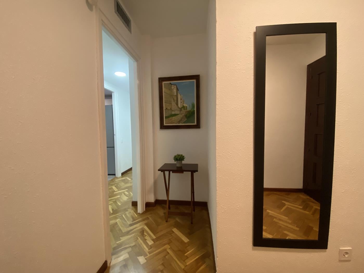 image Apartamento centrico 1 dormitorio - salon - terraza - WIFI 14