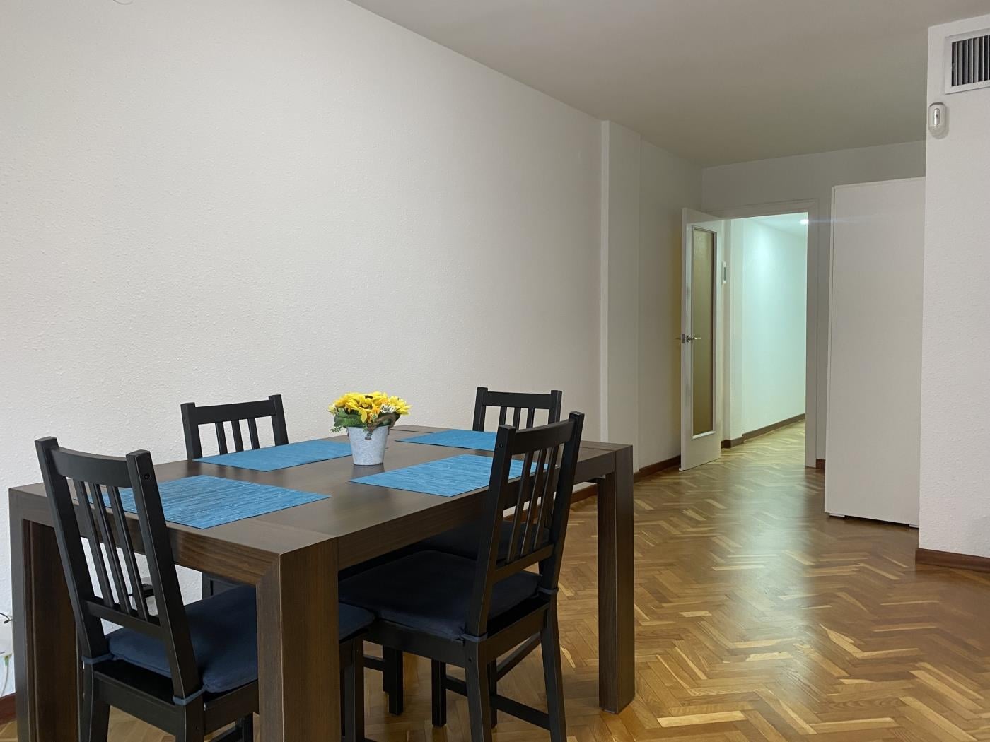 image Apartamento centrico 1 dormitorio - salon - terraza - WIFI 22