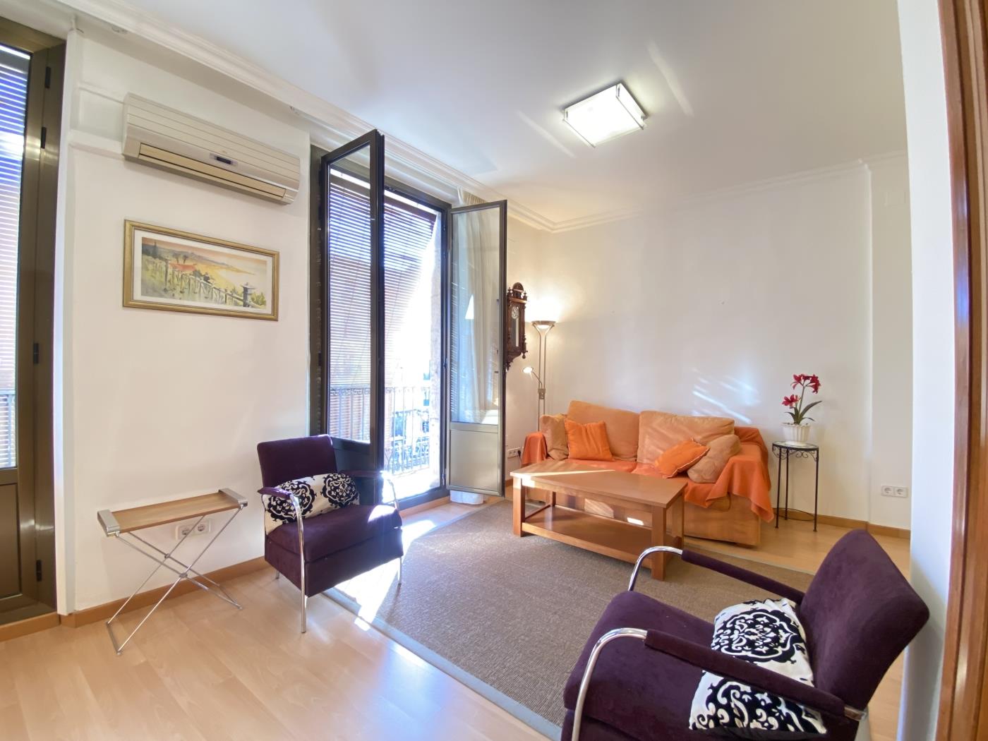 image TH61 Apartamento centrico en la Plaza de la Font 0