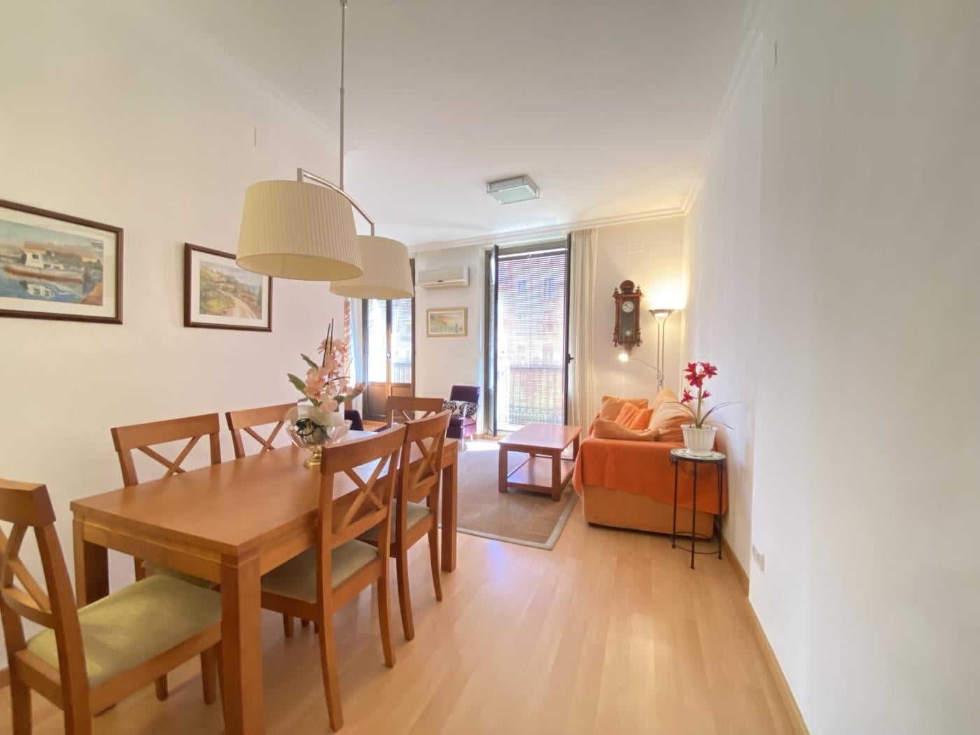 image TH61 Apartamento centrico en la Plaza de la Font 15